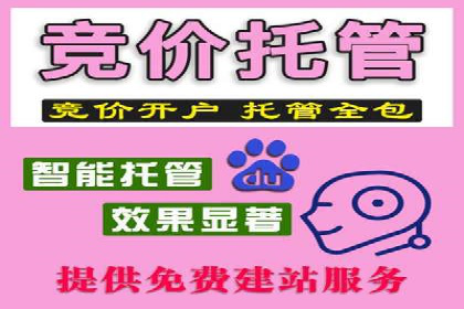 竞价代运营助力企业实现多渠道营销案例